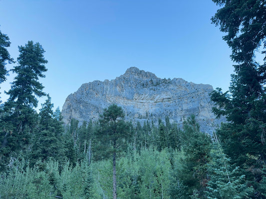 Mount Charleston: A Place Above the Noise