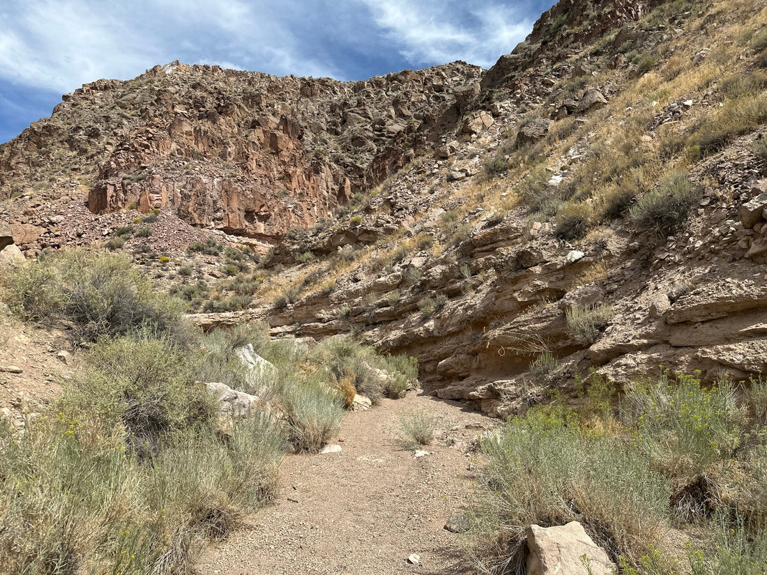 A gravel path curves between sunlit rock walls and desert shrubs at Kershaw-Ryan State Park.