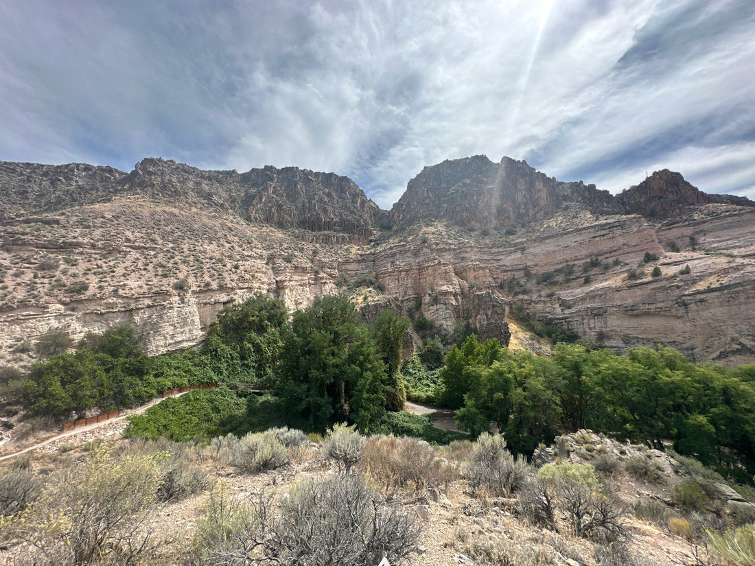 Green trees and gardens beneath layered canyon walls at Kershaw-Ryan State Park, Nevada.