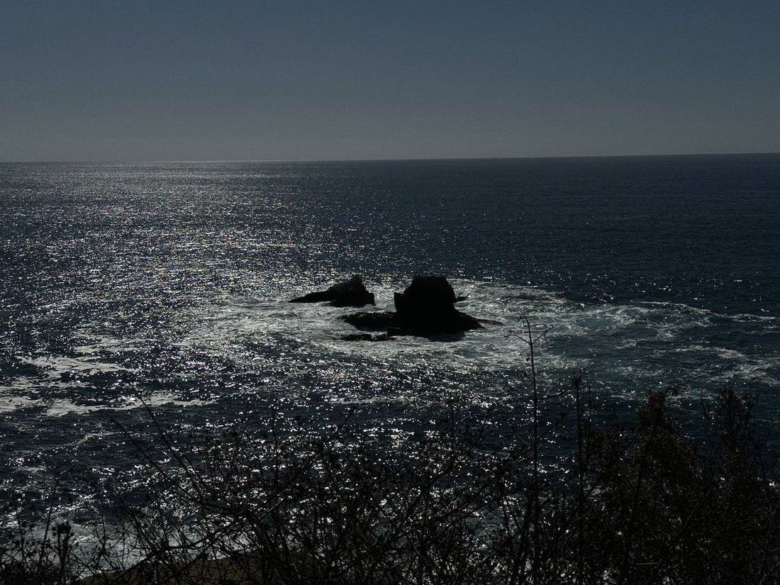 Two dark rocks in sunlit coastal water, with plants in the foreground.