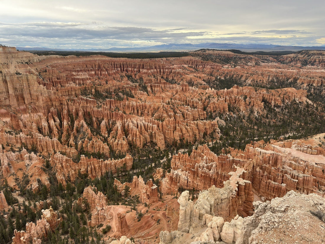 Orange hoodoos and dark conifers fill the Bryce Canyon amphitheater beneath a gray sky.
